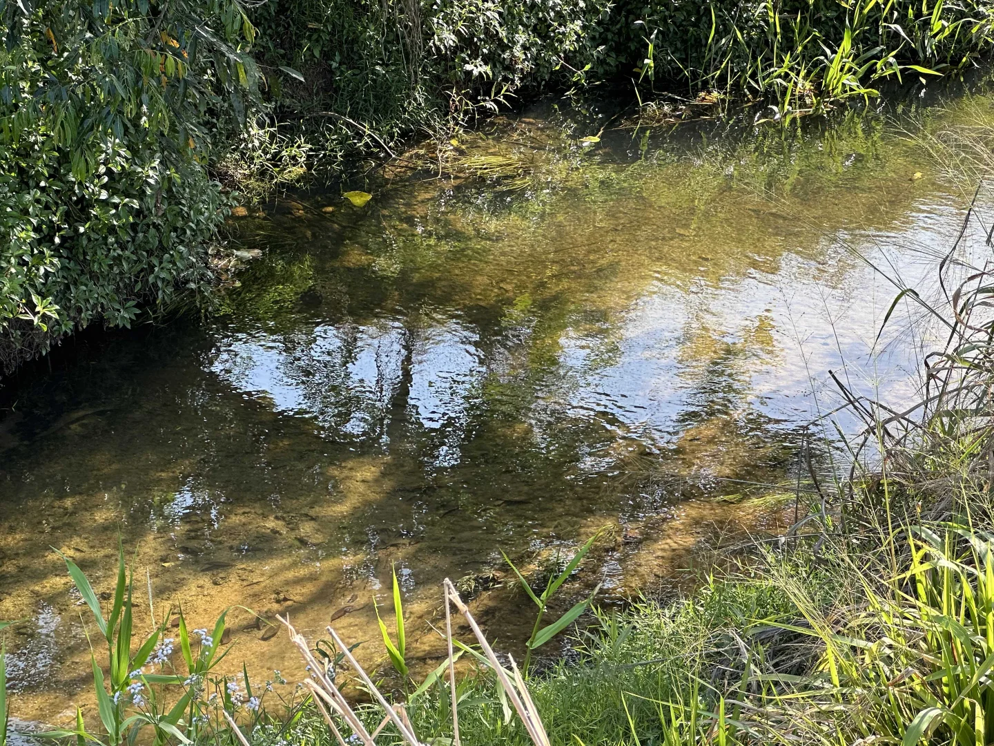 Additional image 18 of Lot 2 Broderick Road, Midgenoo QLD 4854