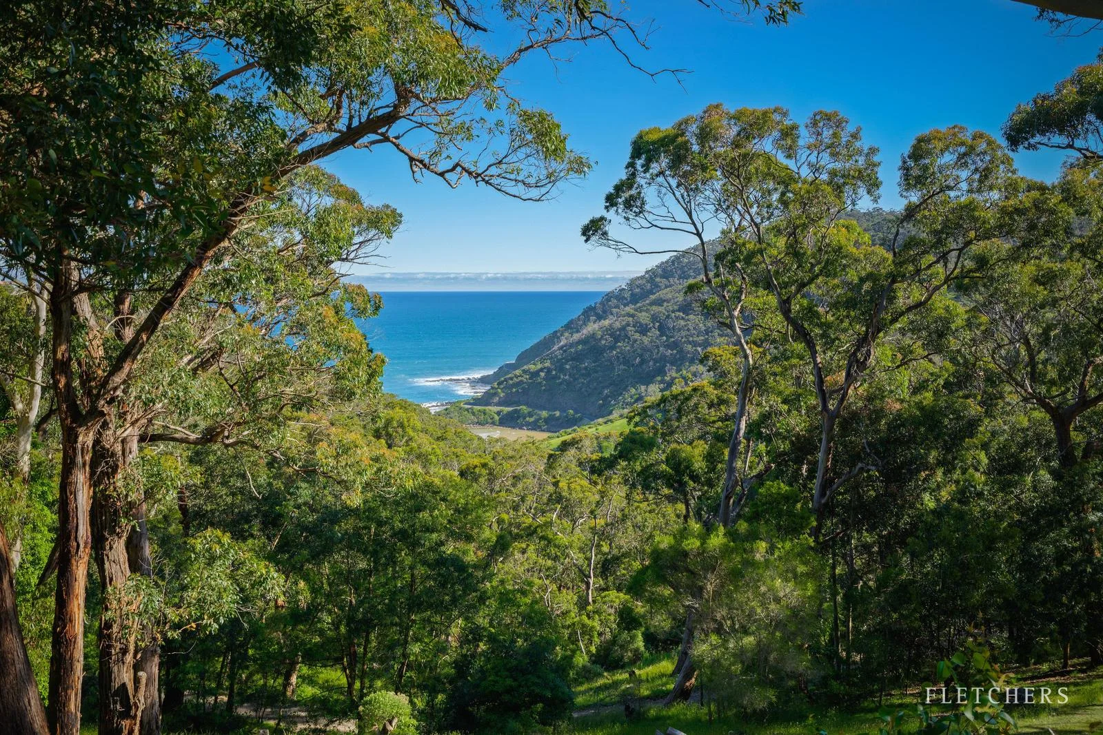 Additional image 4 of 46 & 48 Albert Street, Lorne VIC 3232