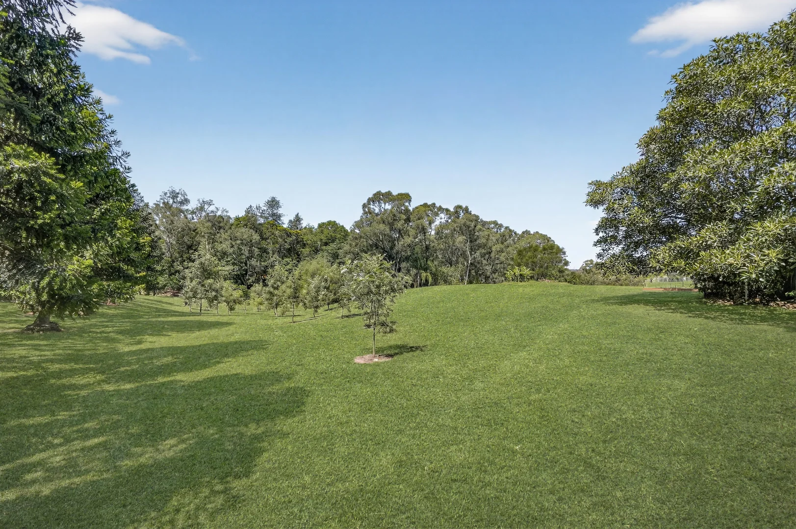 Additional image 19 of 135-141 Second Road, Berkshire Park NSW 2765