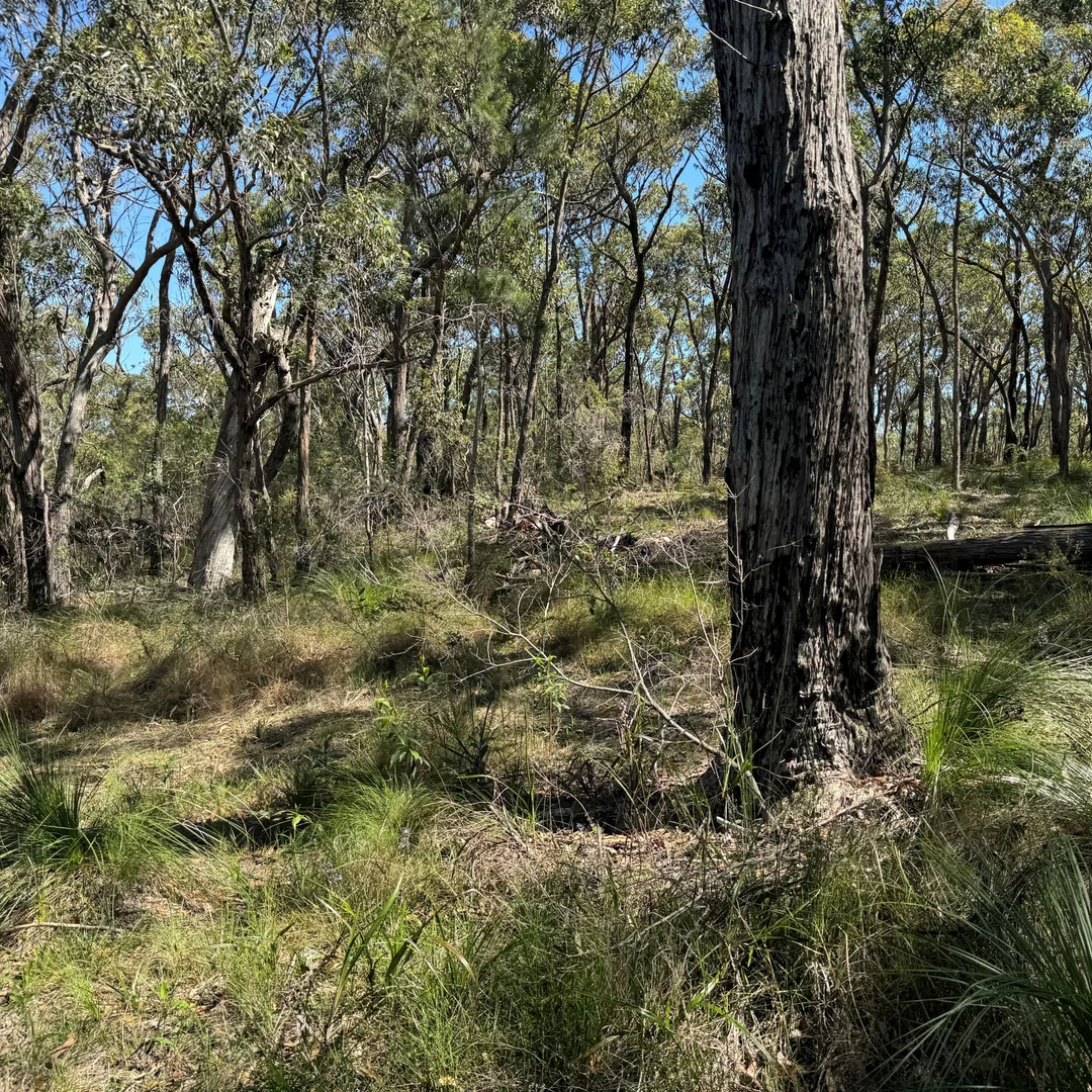 Additional image 5 of 22 Carrington Avenue, Pindimar NSW 2324