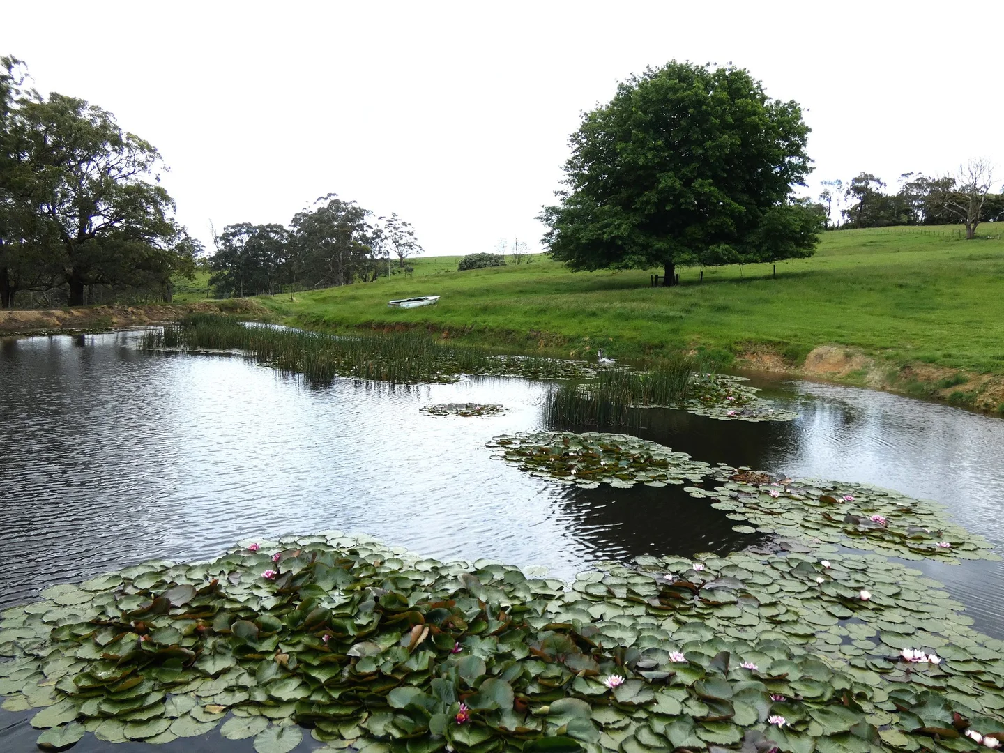 Additional image 23 of 125 Sheepstation Creek Road, Yellingbo VIC 3139