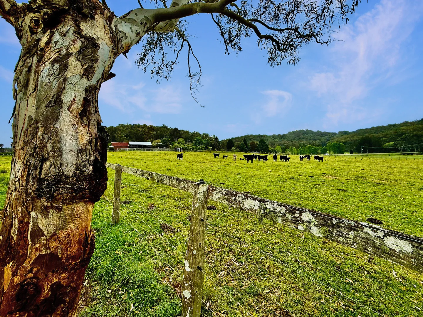 Additional image 29 of 3983 Great North Road, Laguna NSW 2325