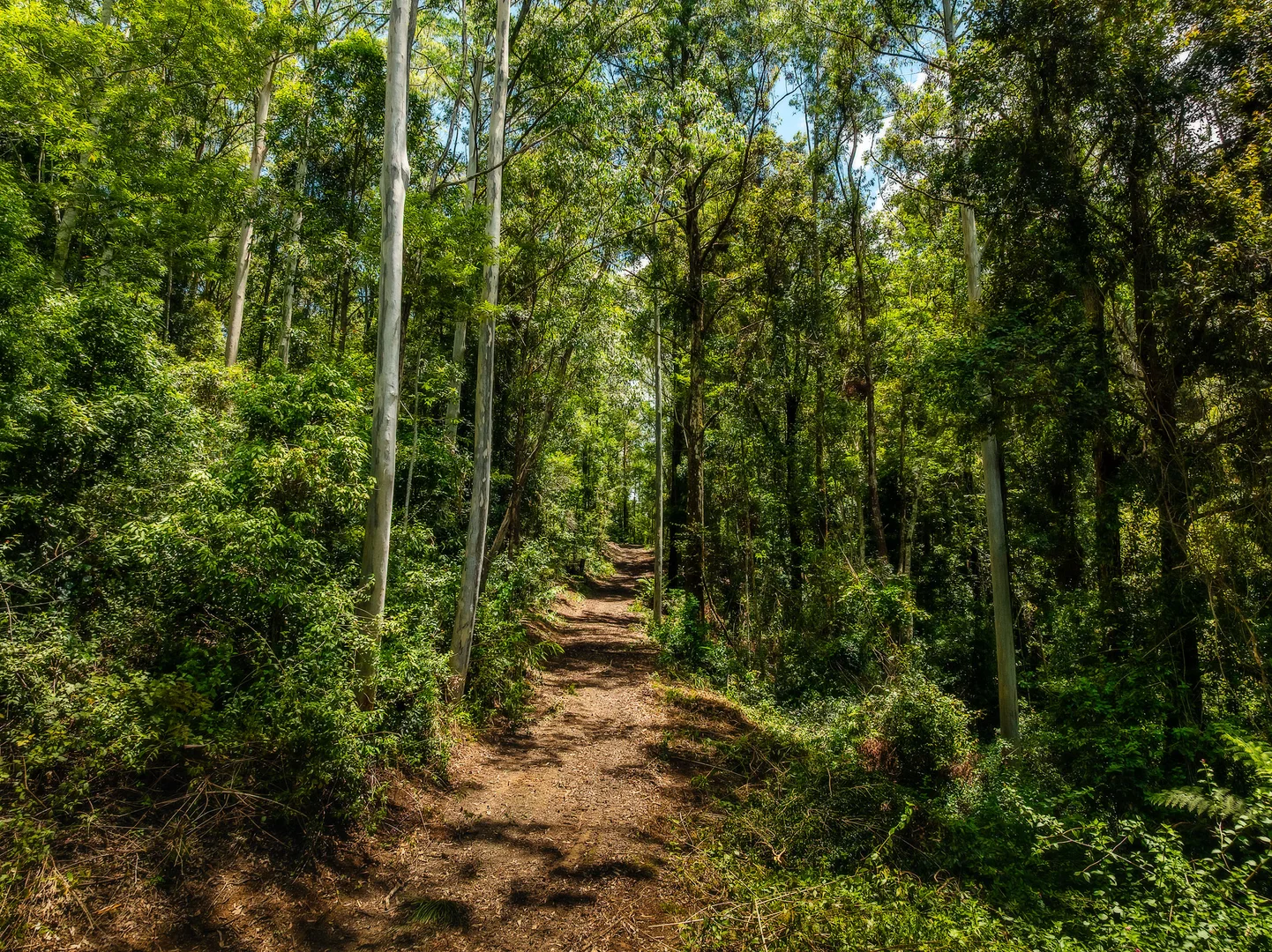 Additional image 19 of 399 Summervilles Road, Bellingen NSW 2454