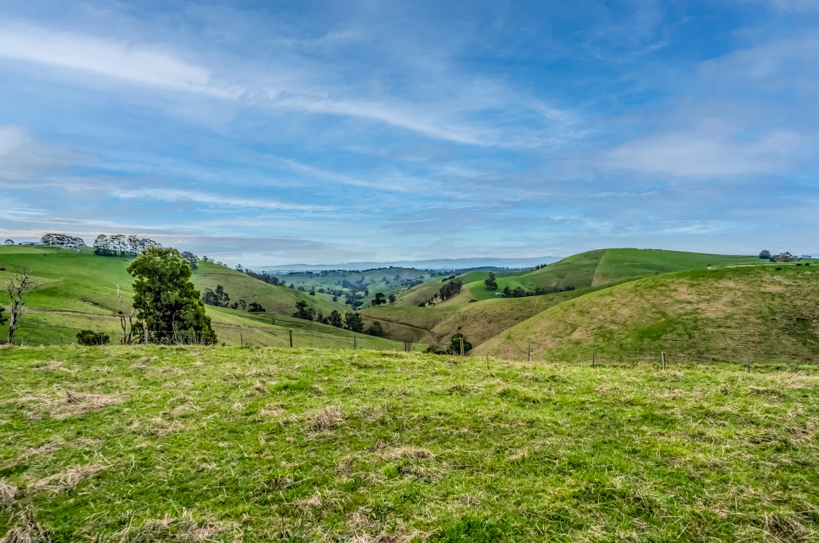 Additional image 5 of 91 Mountain View- McDonalds Track, Mountain View VIC 3988