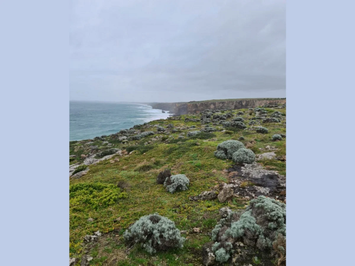 Additional image 7 of 618 Hopkins Point Road, Allansford VIC 3277