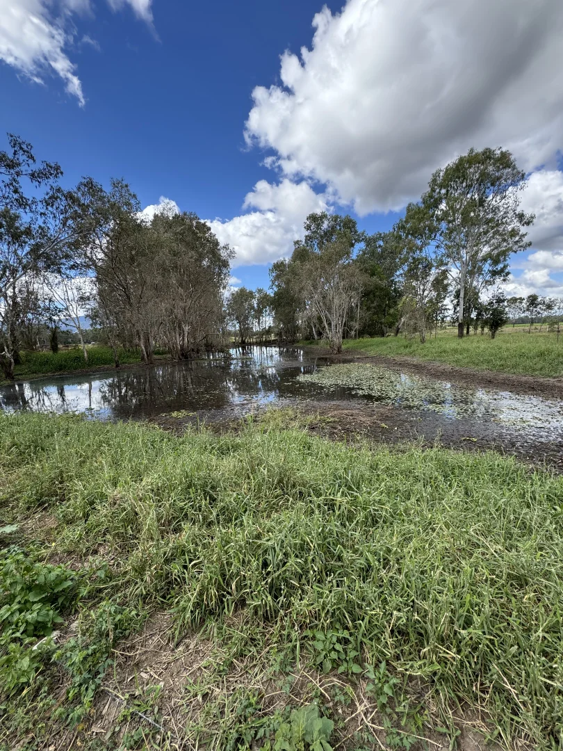 Additional image 6 of Lot 128/178 Quigley Road, Majors Creek QLD 4816