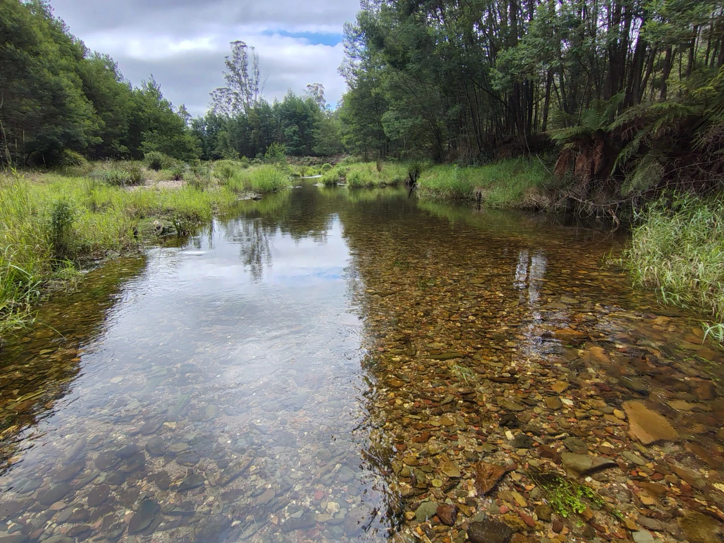 Additional image 44 of 115 Gulph Creek Road, Nerrigundah NSW 2545