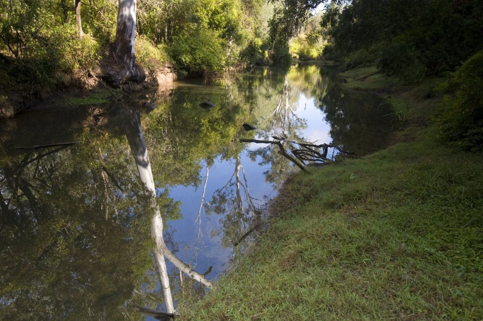Additional image 7 of Lot Stage 8 Park Avenue, North Isis QLD 4660