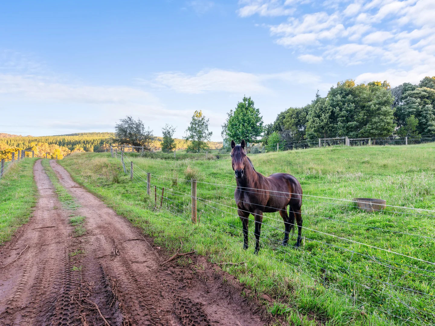 Additional image 25 of 43 Johnsons Lane, Willung South VIC 3847