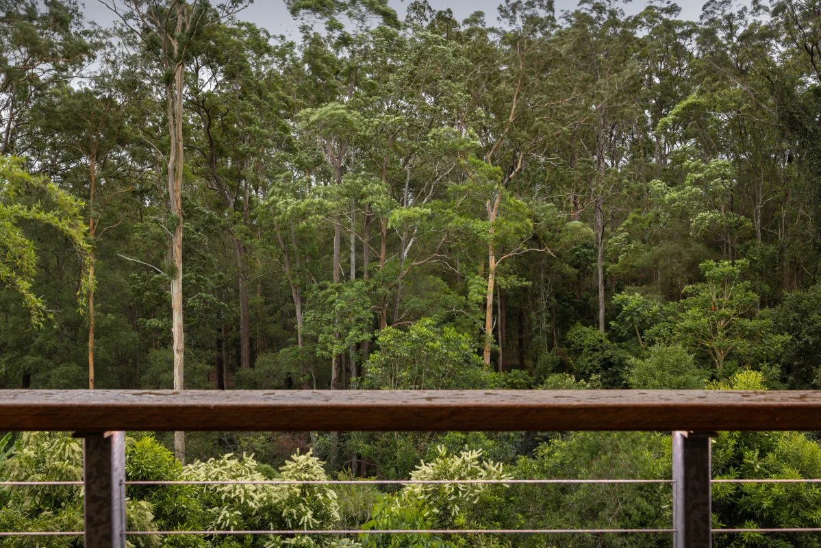 Additional image 11 of 2 Monarch Place, Mons QLD 4556