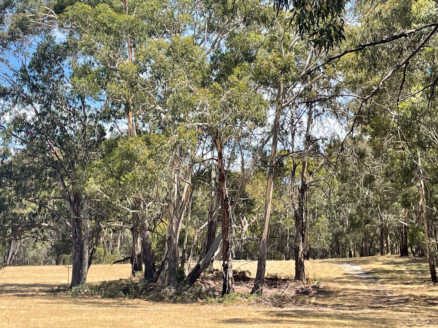 Additional image 6 of Strathbogie VIC 3666