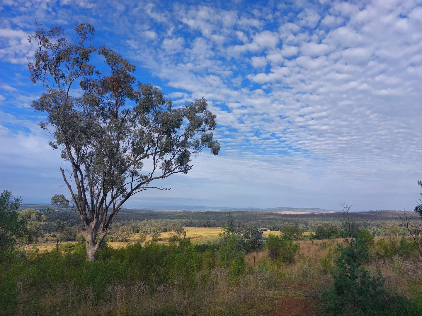 Additional image 4 of 12 Ironbark Drive, Warialda NSW 2402