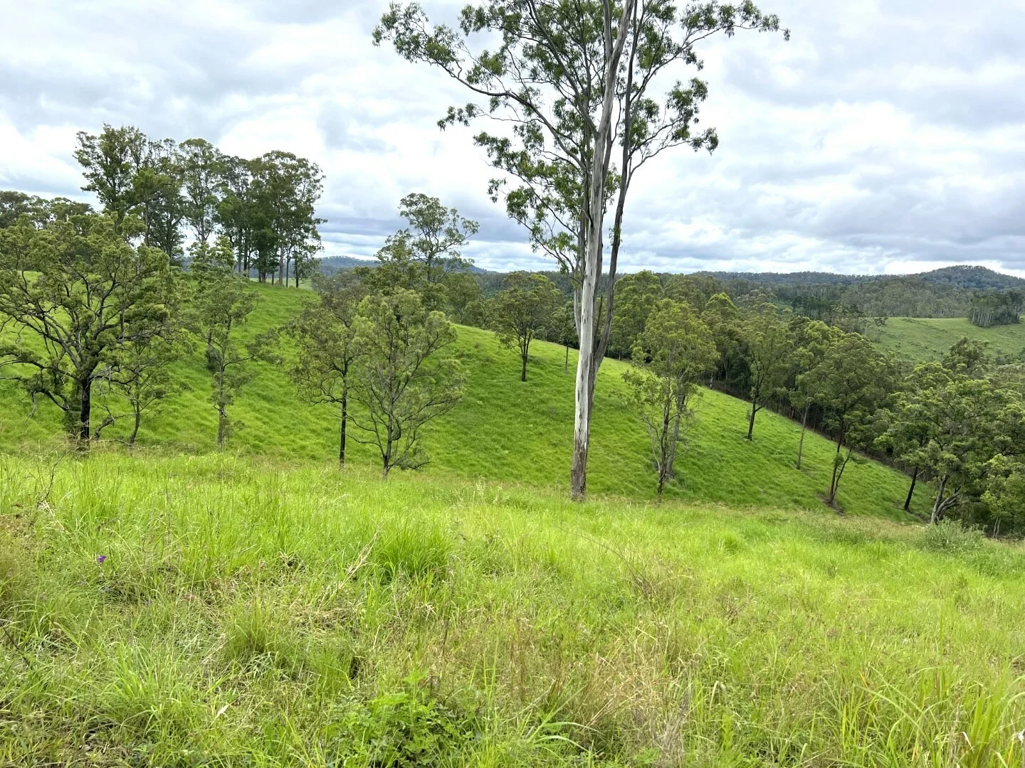 Additional image 32 of 59 Wyndham Road, Wyneden NSW 2474