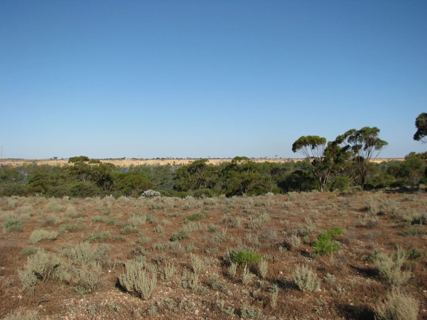 Additional image 11 of lot 1000 Merivale Street, Blanchetown SA 5357