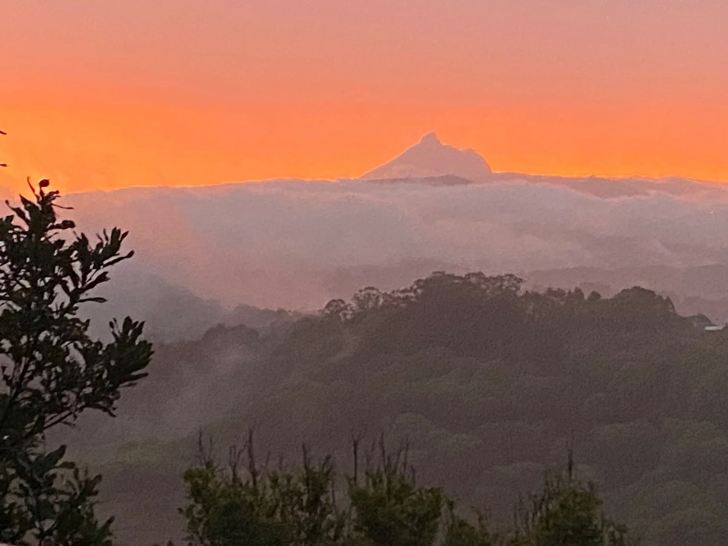 Additional image 11 of 807 RESERVE CREEK ROAD, Reserve Creek NSW 2484