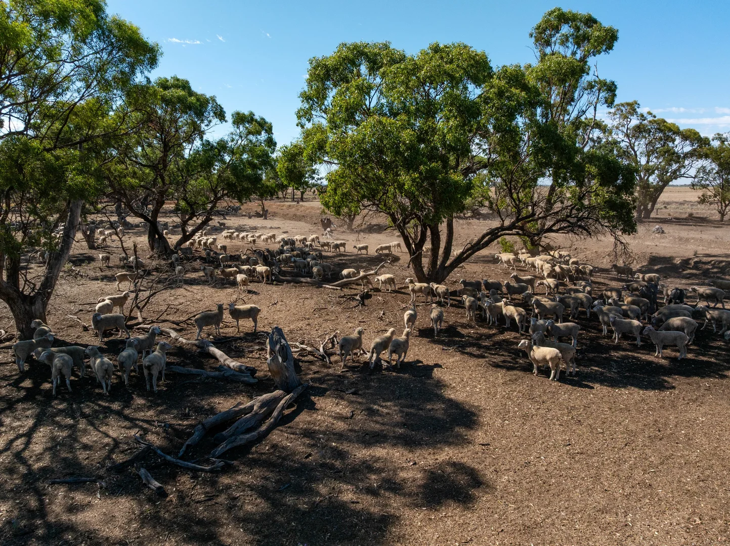 Additional image 9 of 1145 Boundary Road, Murrami NSW 2705