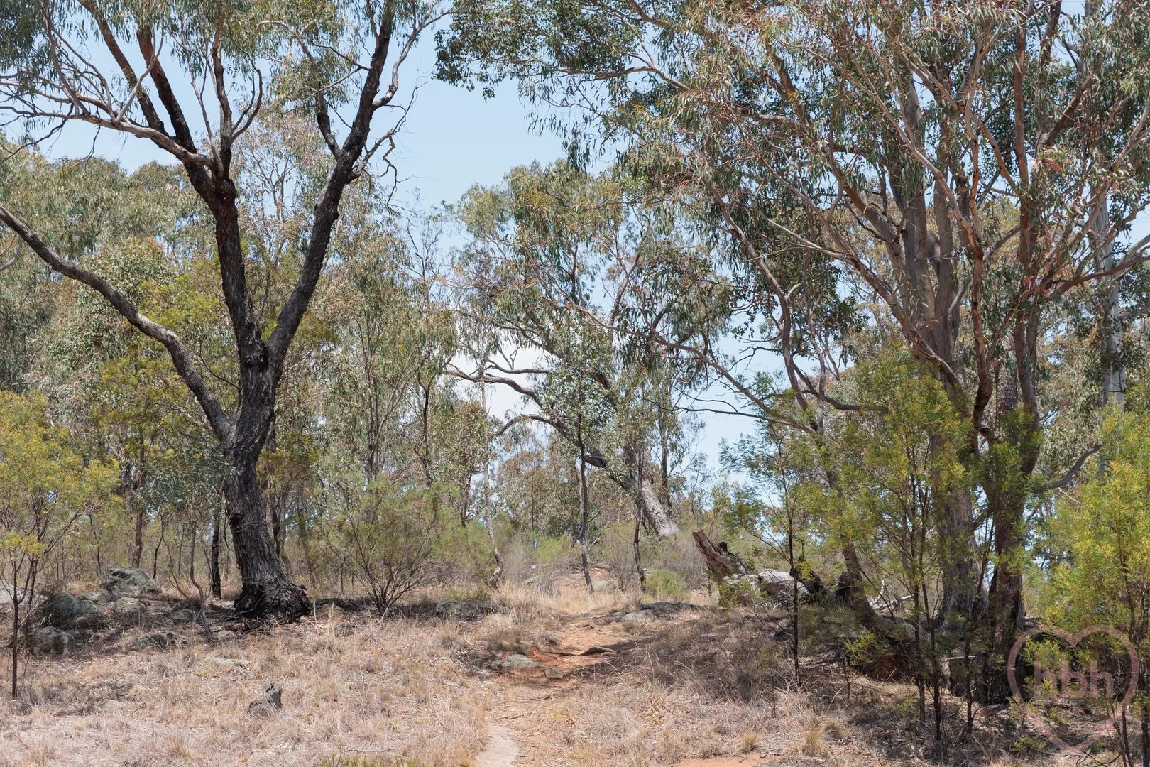 Additional image 28 of 15 Patey Street, Campbell ACT 2612