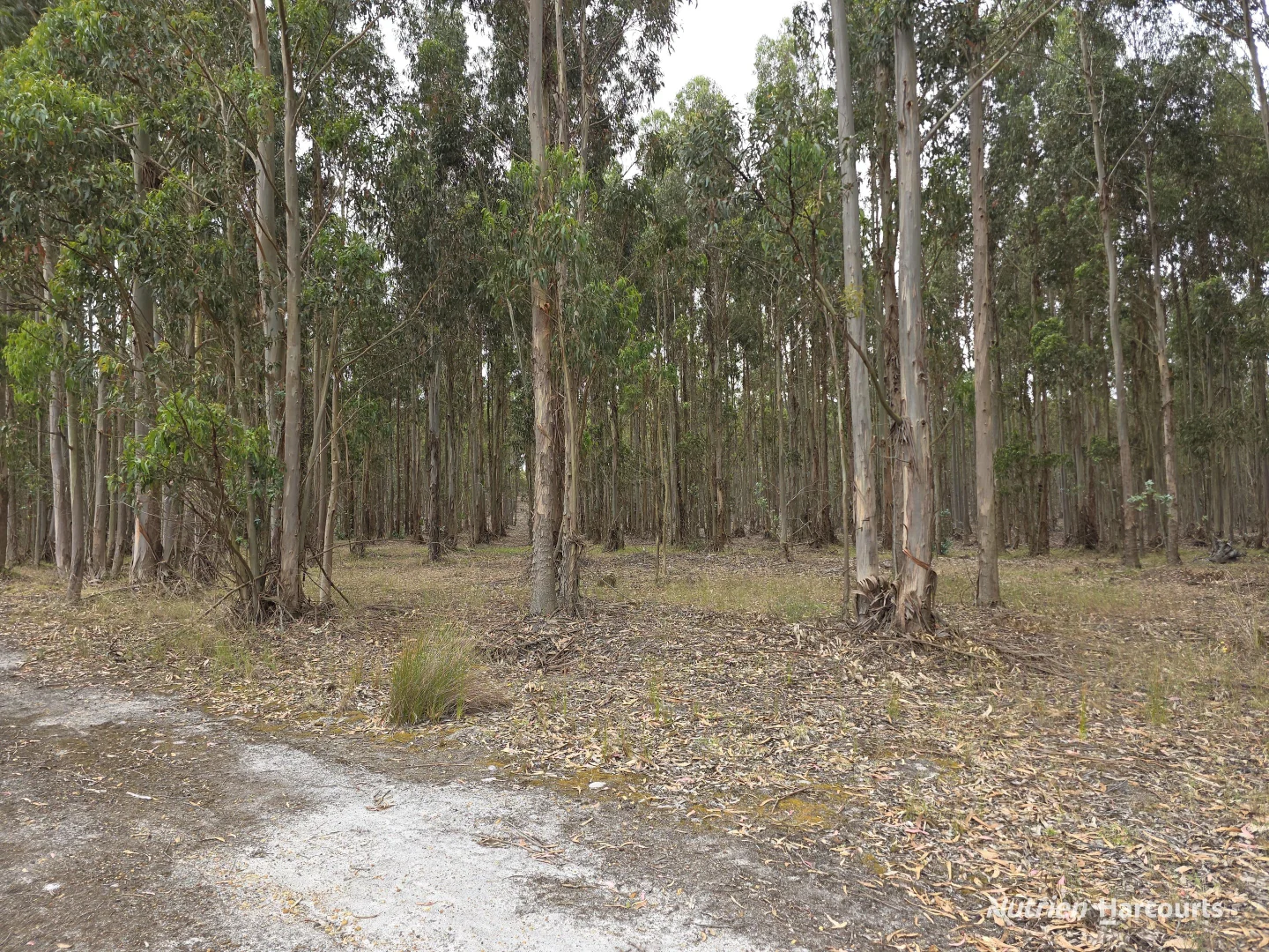 Additional image 9 of 142 Mindijup Road, Palmdale WA 6328