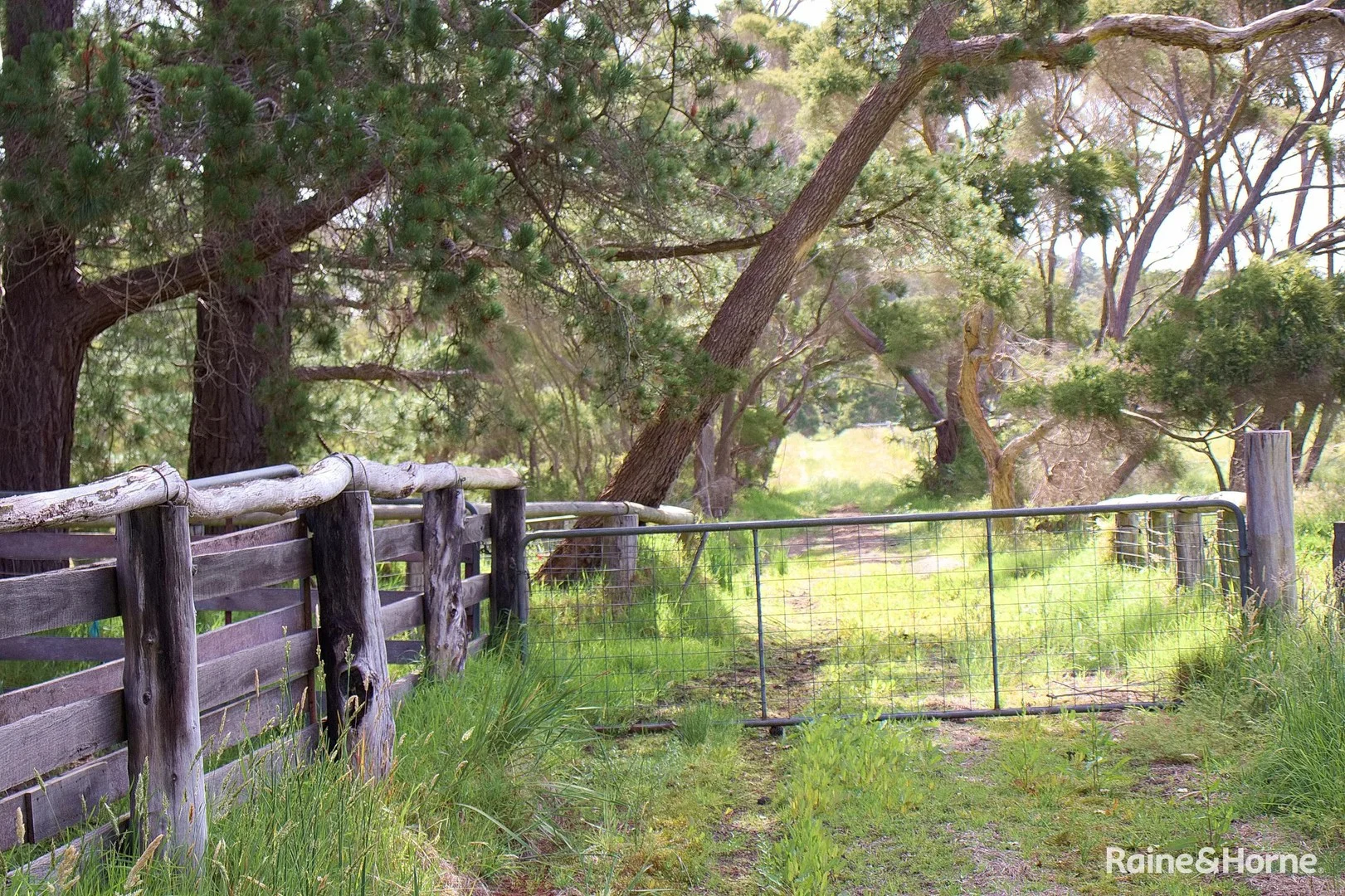 Additional image 3 of 749 Kordabup Road, Kordabup WA 6333