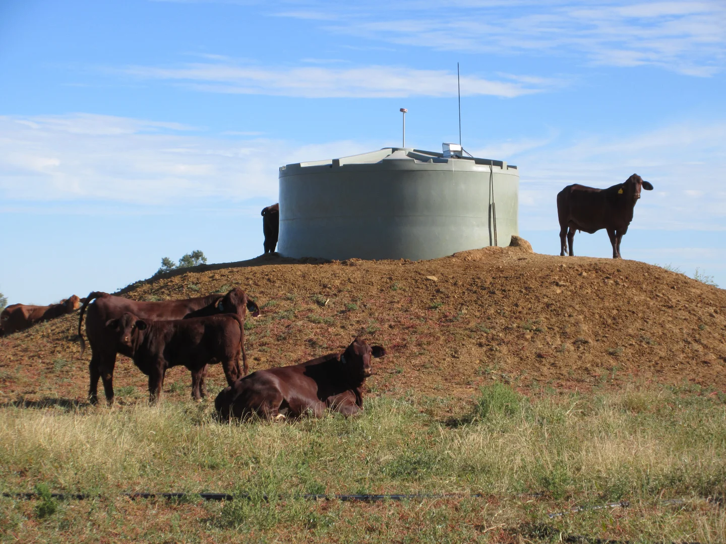 Additional image 4 of 715 Royston Lane, Longreach QLD 4730