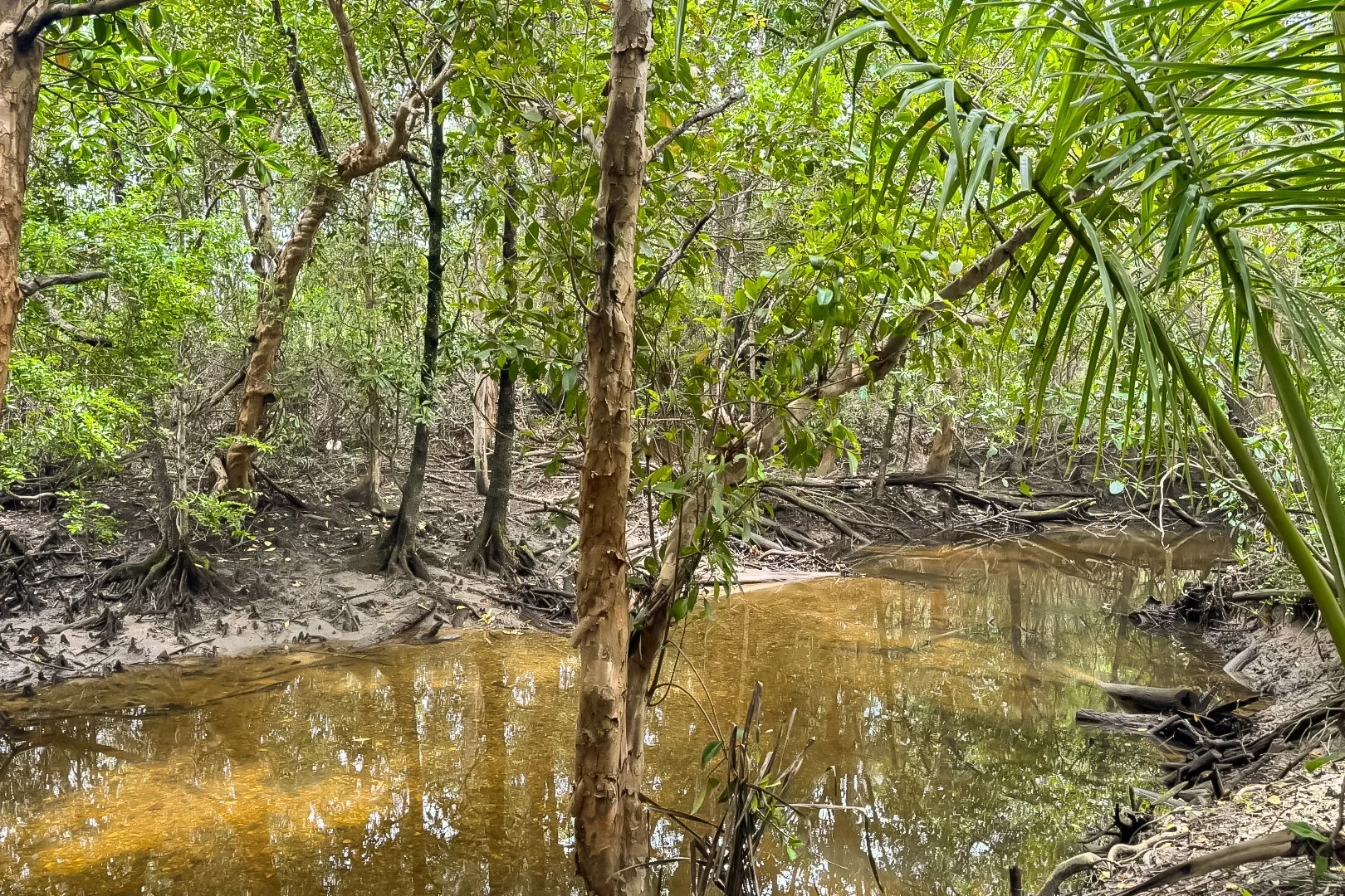 Additional image 16 of 16 Egret Close, Port Douglas QLD 4877