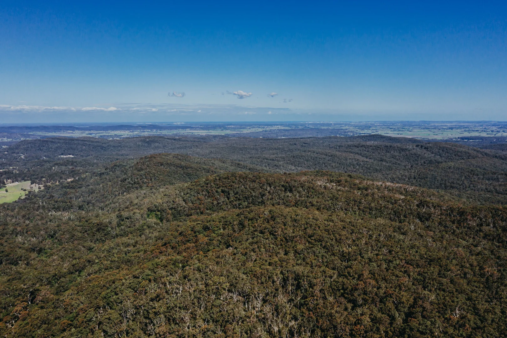 Additional image 4 of 23 Uffington Road, Duns Creek NSW 2321