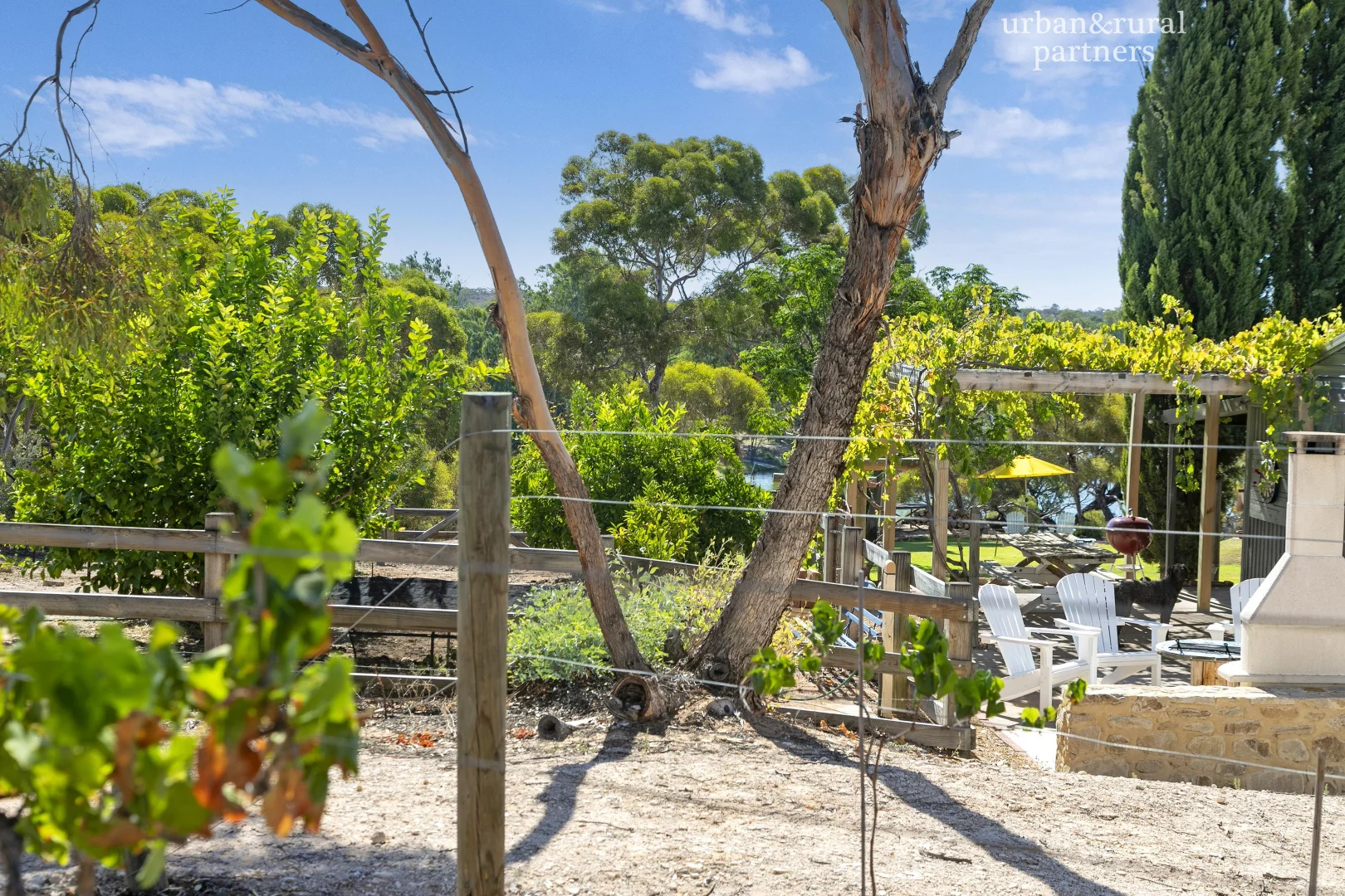 Additional image 16 of 162 Old Murbko Road, Morgan SA 5320