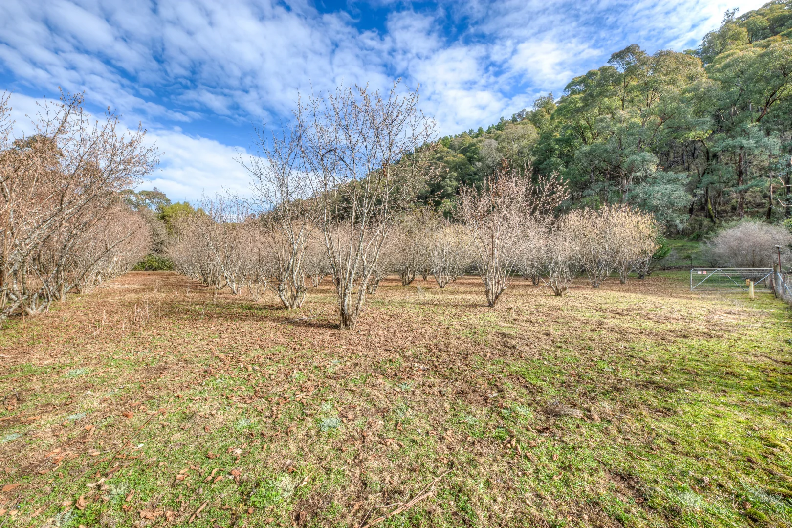 Additional image 13 of 828 Morses Creek Road, Wandiligong VIC 3744