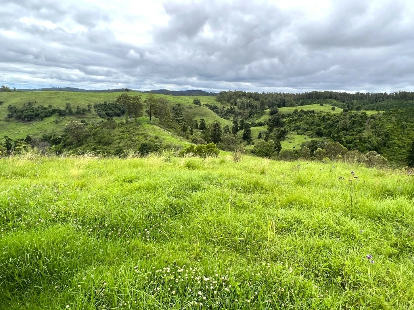 Additional image 13 of 59 Wyndham Road, Wyneden NSW 2474