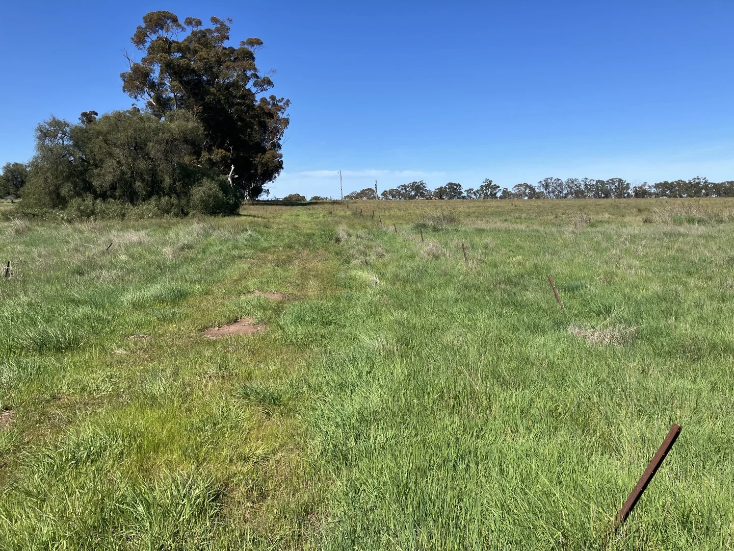 Additional image 3 of 668 Ullswater-Mortat Road, Ullswater VIC 3318