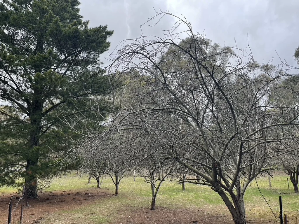 Additional image 8 of 41 Eleventh Avenue, Eden Park VIC 3757