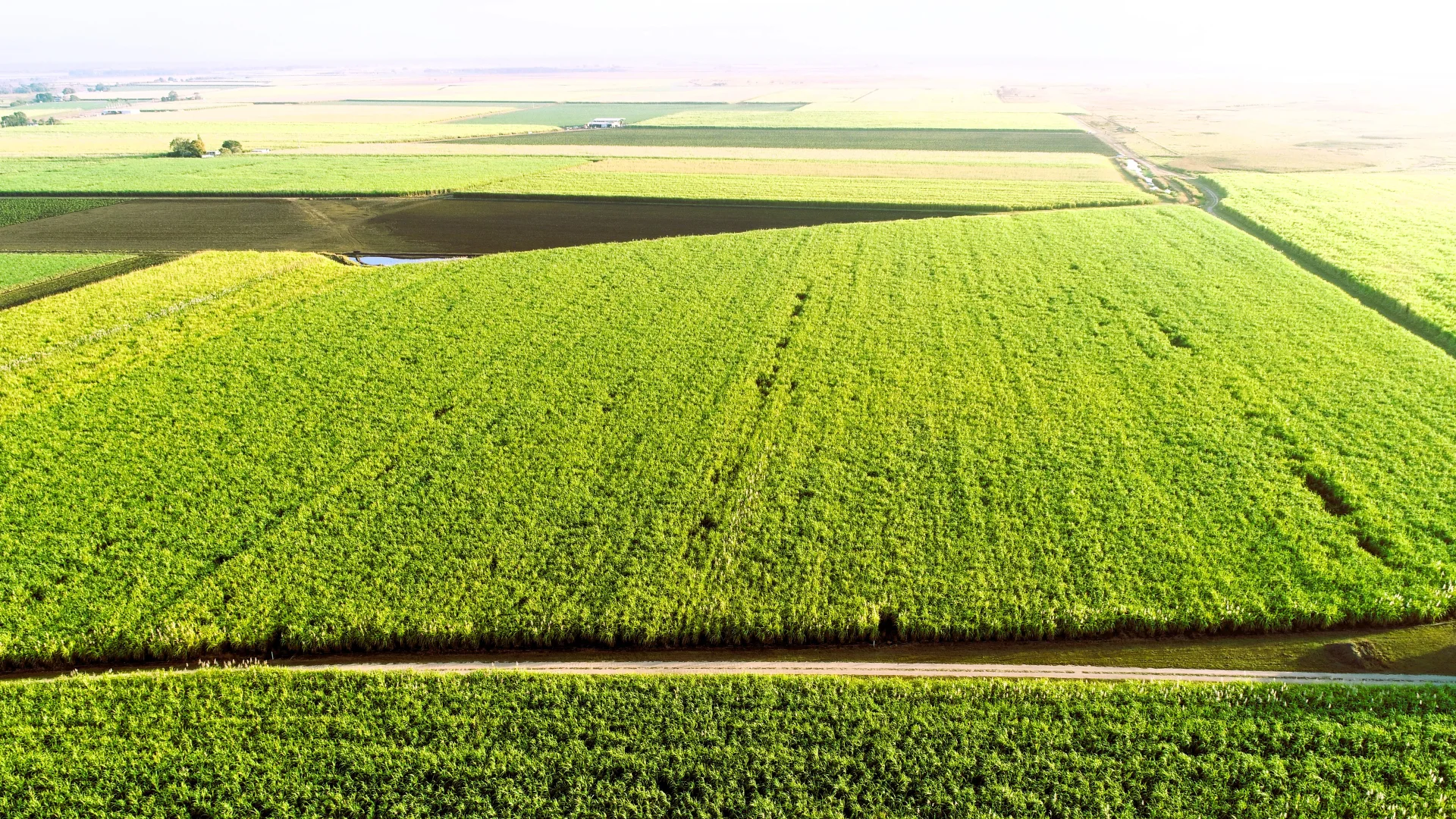 Additional image 9 of 20 Colevale Road, Brandon QLD 4808