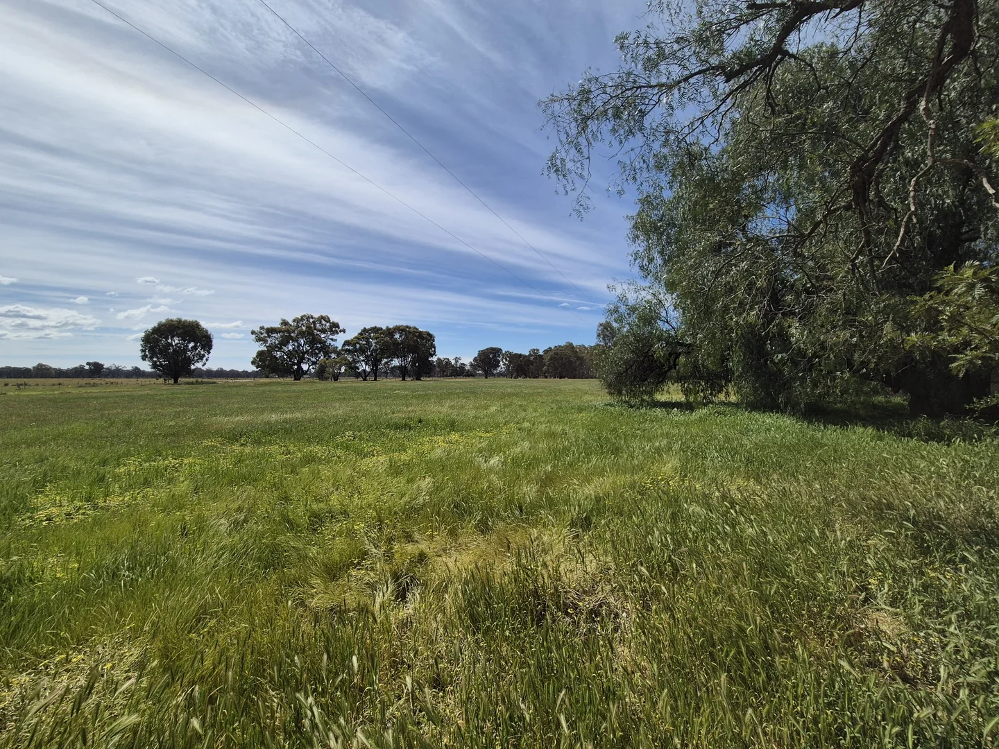 Additional image 43 of 50 Ramage Road, Violet Town VIC 3669