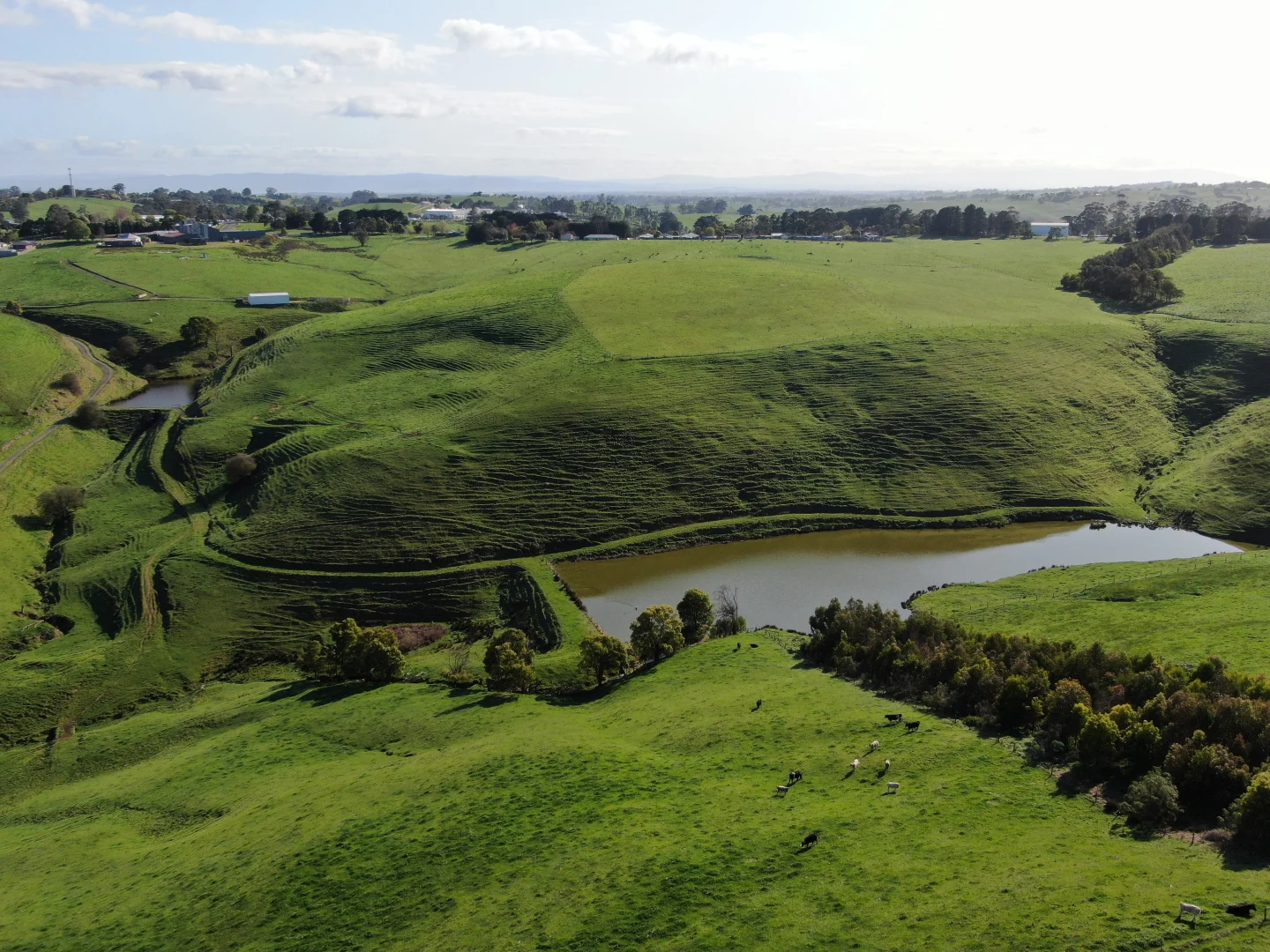 Additional image 14 of Beckett Street, Poowong VIC 3988