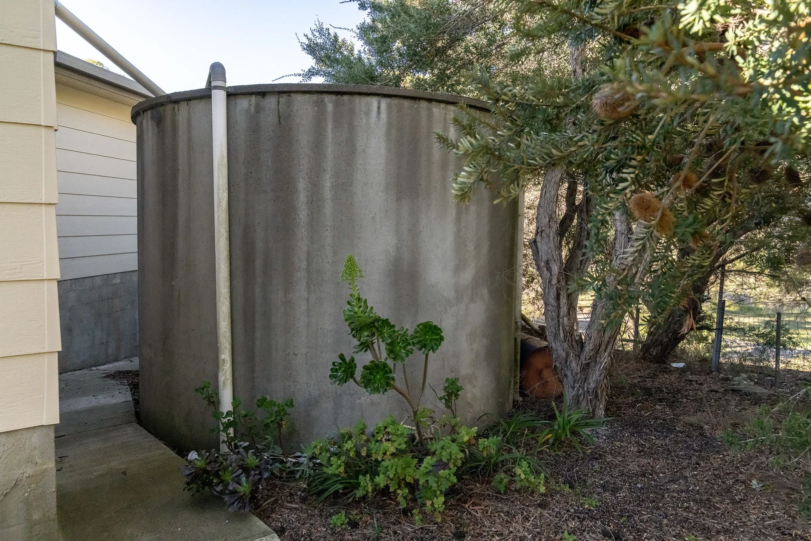 Additional image 39 of 21 Swan Street, Musselroe Bay TAS 7264