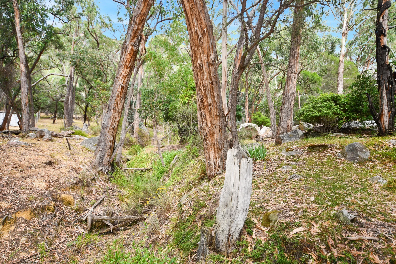 Additional image 21 of 54-56 Scott Rd, Halls Gap VIC 3381