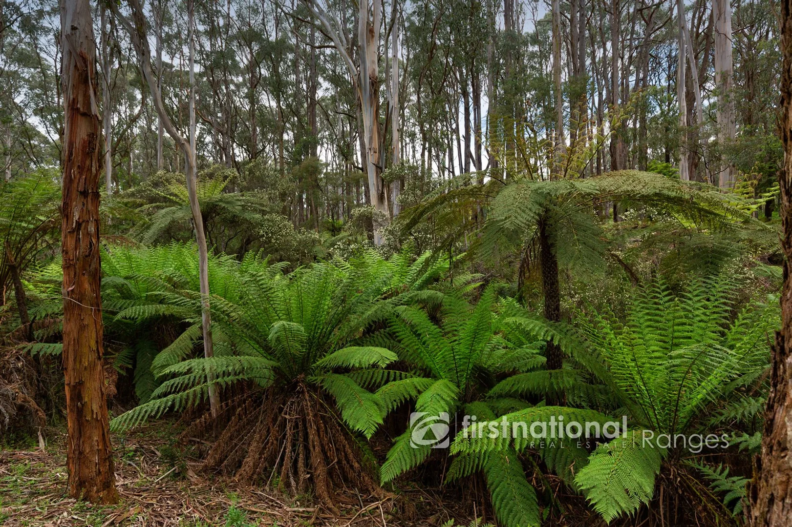 Additional image 11 of 171 Stewart Road, Emerald VIC 3782