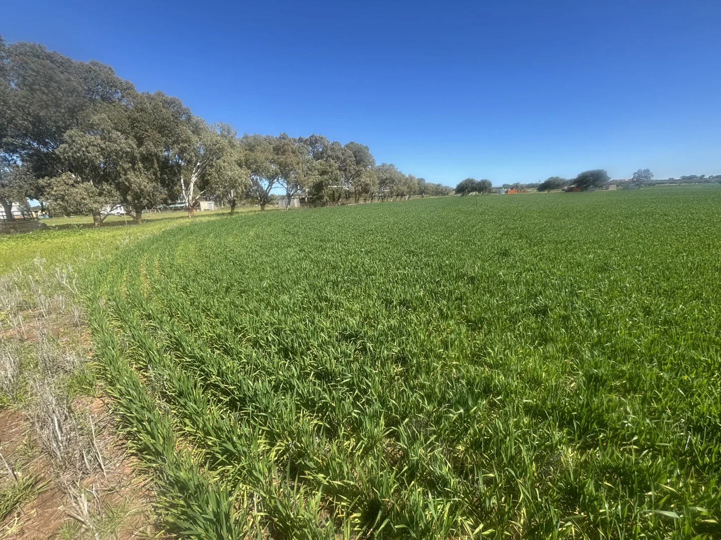 Additional image 6 of Lot 1152 Narngulu, Narngulu WA 6532