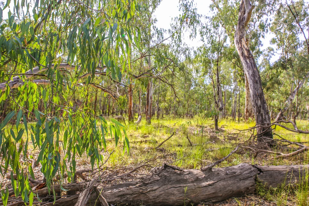 Additional image 6 of Lot 19, 20, 23 & 24 - 650 Yarraman Road, Moama NSW 2731