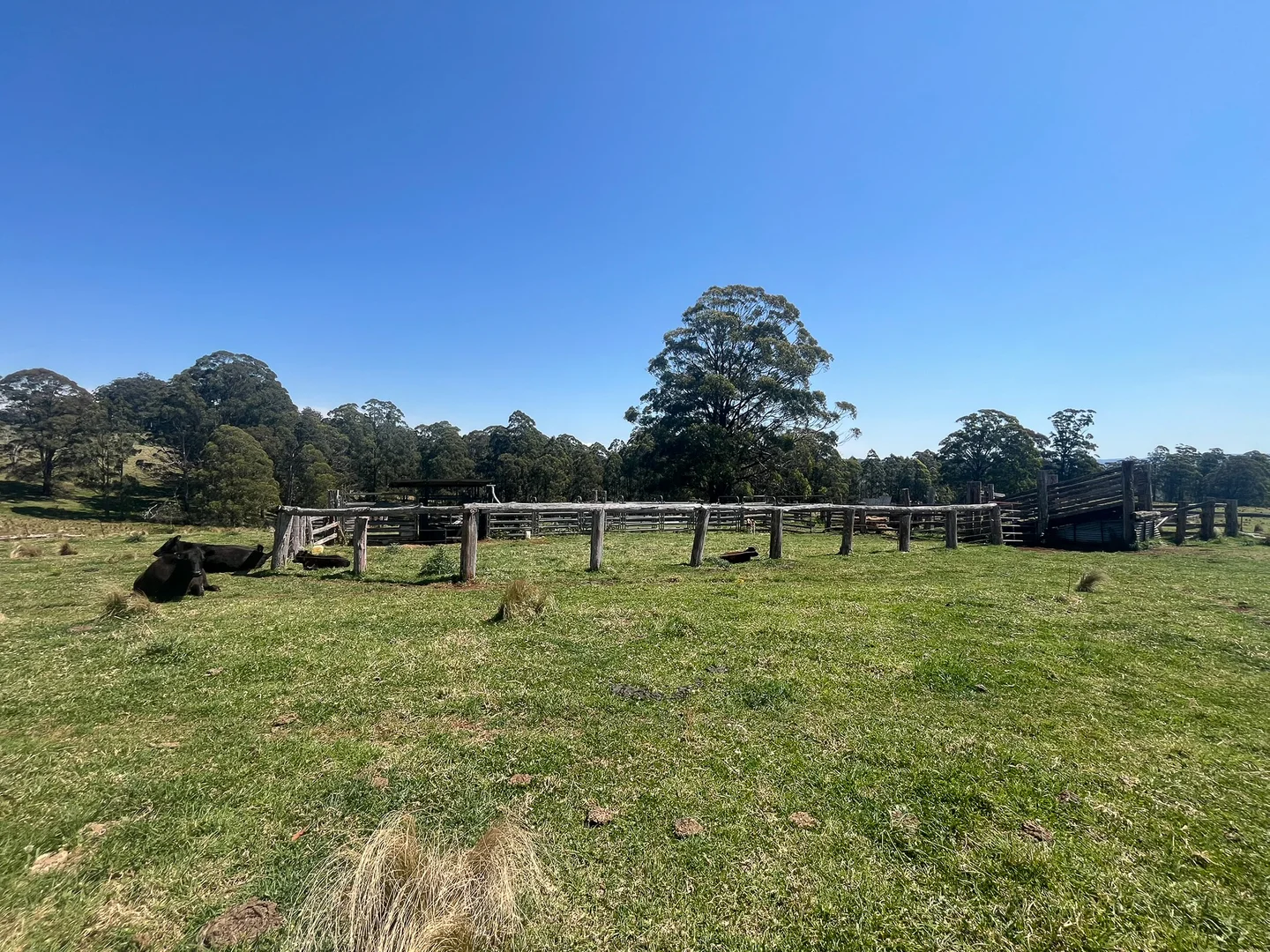 Additional image 18 of 638 Tops Road, Nowendoc NSW 2354