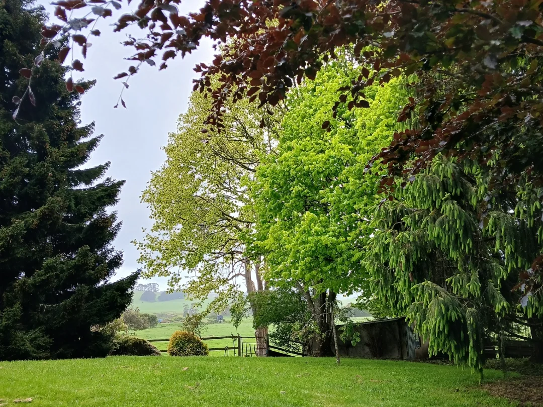 Additional image 14 of 74 Fosters Road, Wynyard TAS 7325