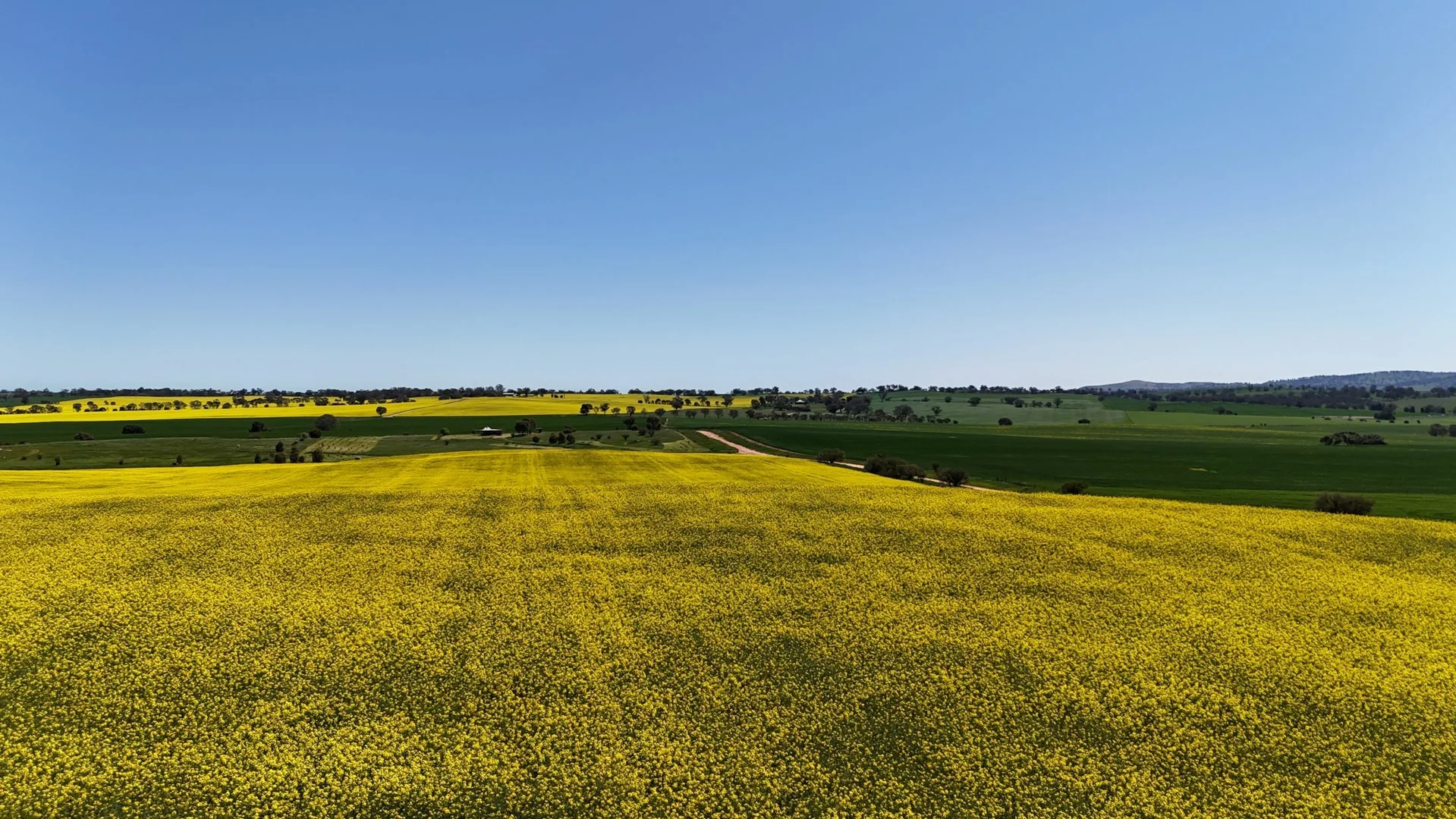 Additional image 9 of 'Ryans' Archie Road, Murray Town SA 5481