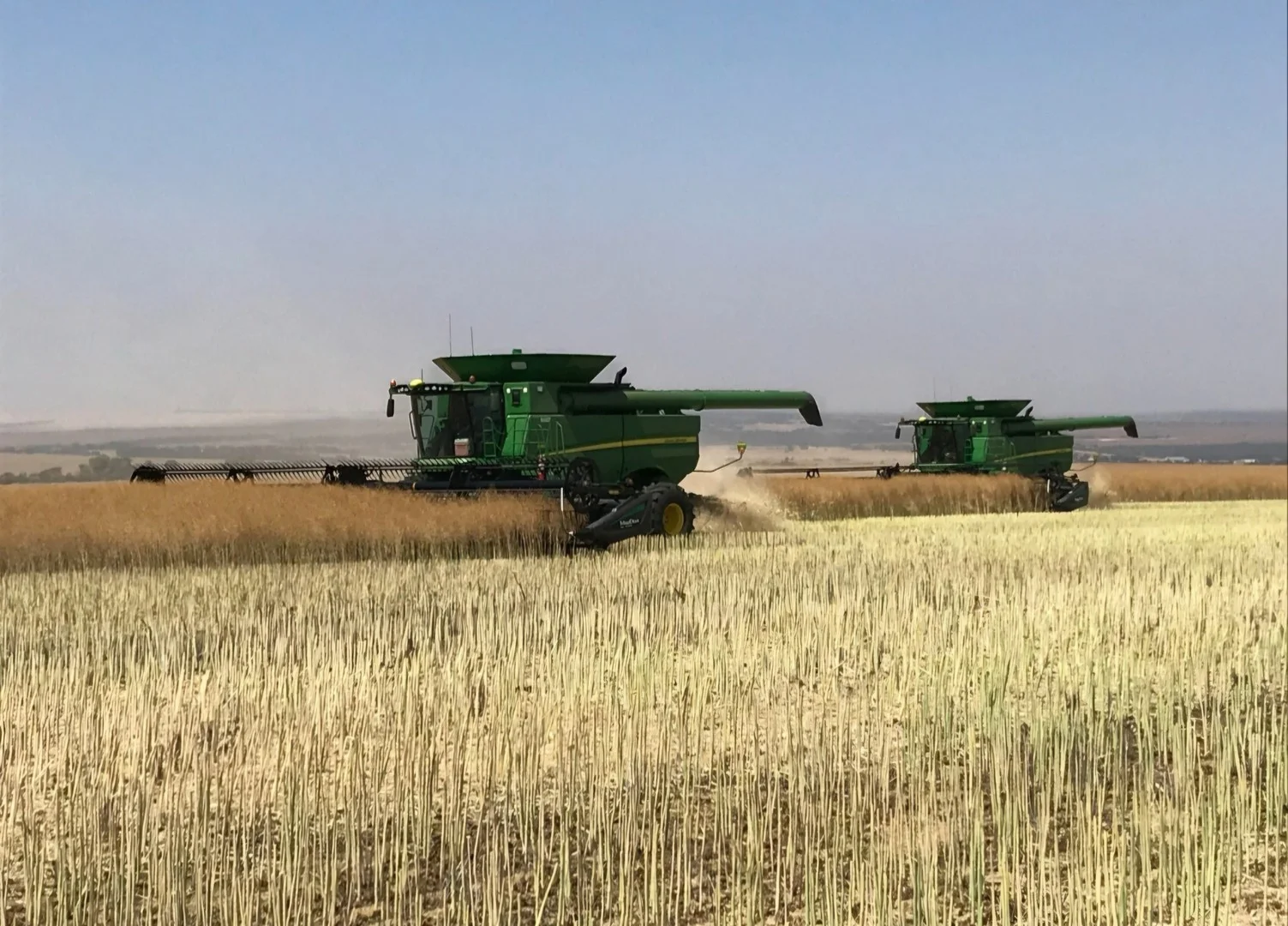 Valentine Road, Wicherina WA 6532