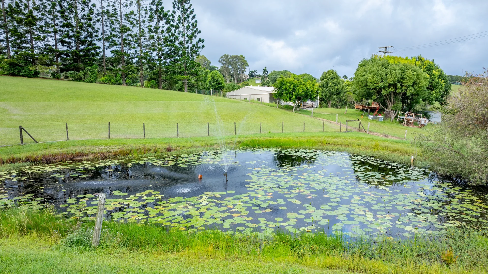 Additional image 20 of 8 Pine Tree Drive, Lake Macdonald QLD 4563