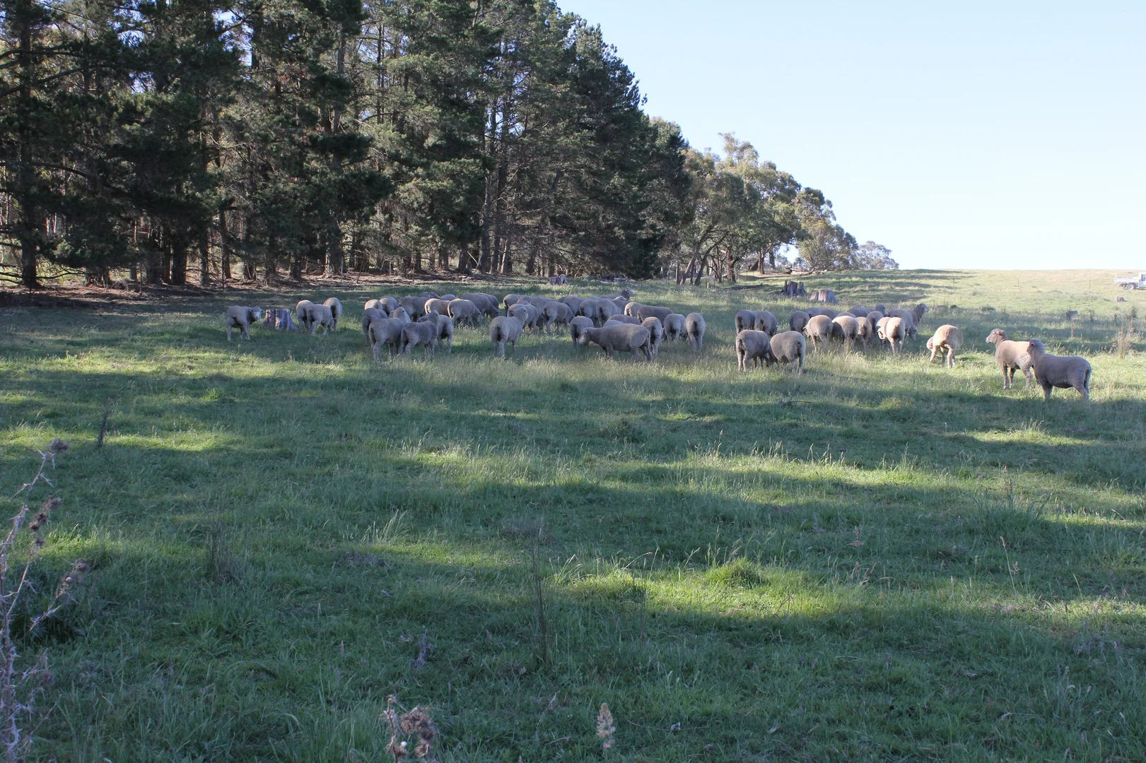 Additional image 7 of 48 & 98/413 Flacknell Creek Road, Gunning NSW 2581