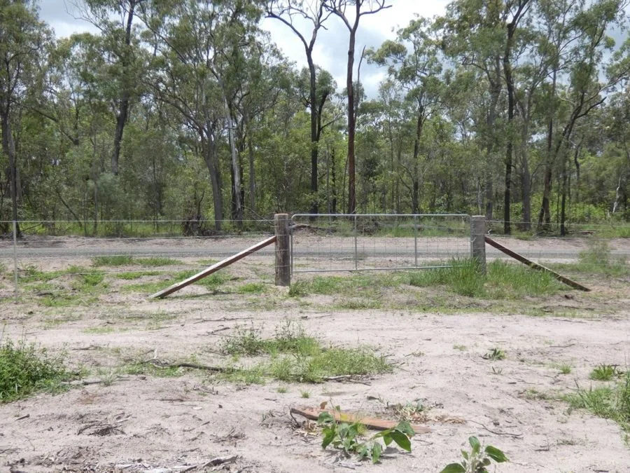Additional image 19 of Lot 41 Moolyung Road, Waterloo QLD 4673