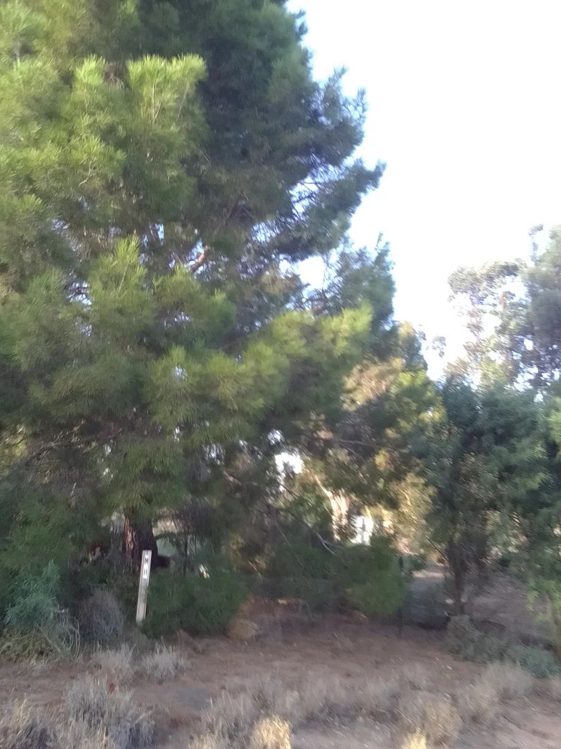 Additional image 27 of 18 Ryan Street, Rainbow VIC 3424