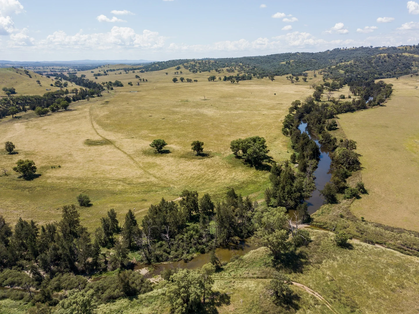 Additional image 11 of 1198 Bukkulla Road, Ashford NSW 2361