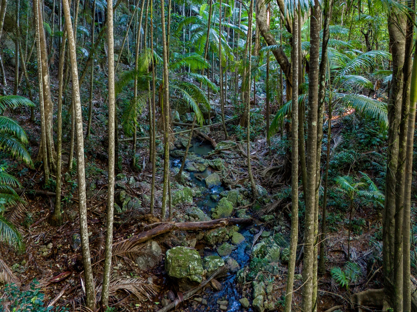 Additional image 32 of Sleepy Hollow NSW 2483