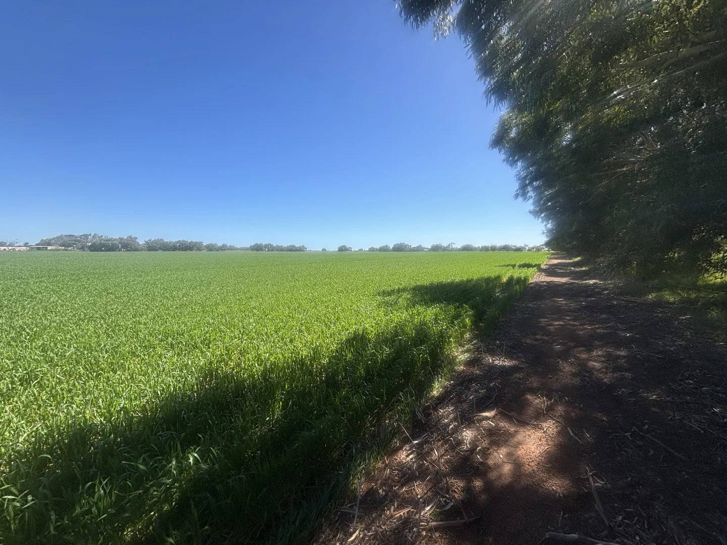 Additional image 3 of Lot 1152 Narngulu, Narngulu WA 6532